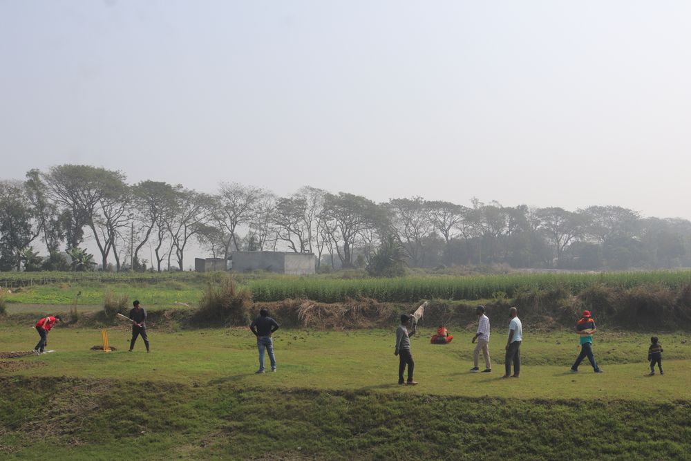 Cricket Match