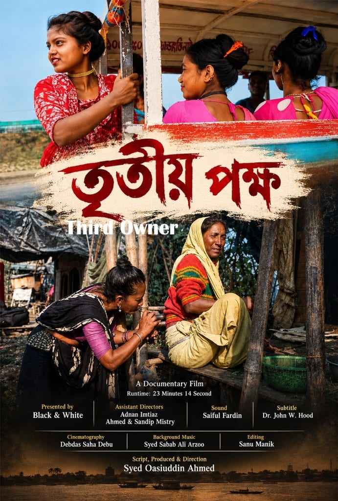 Third Owner — Film Poster